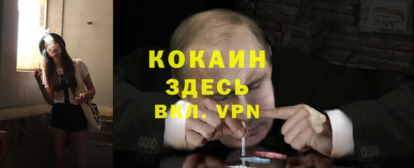 гидра Шали