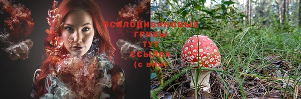 прущая мука Каменногорск