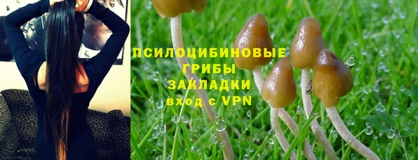 прущая мука Каменногорск