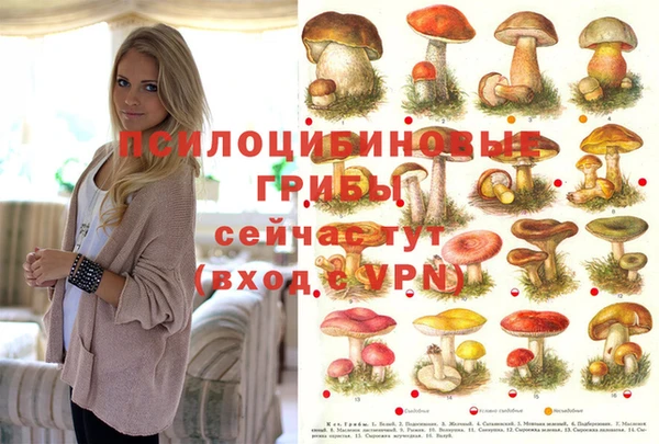 прущая мука Каменногорск