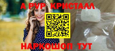 ECSTASY Гатчина
