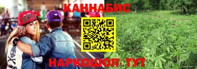 индика Гагарин