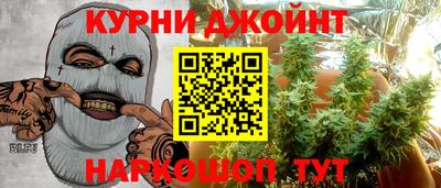 индика Гагарин