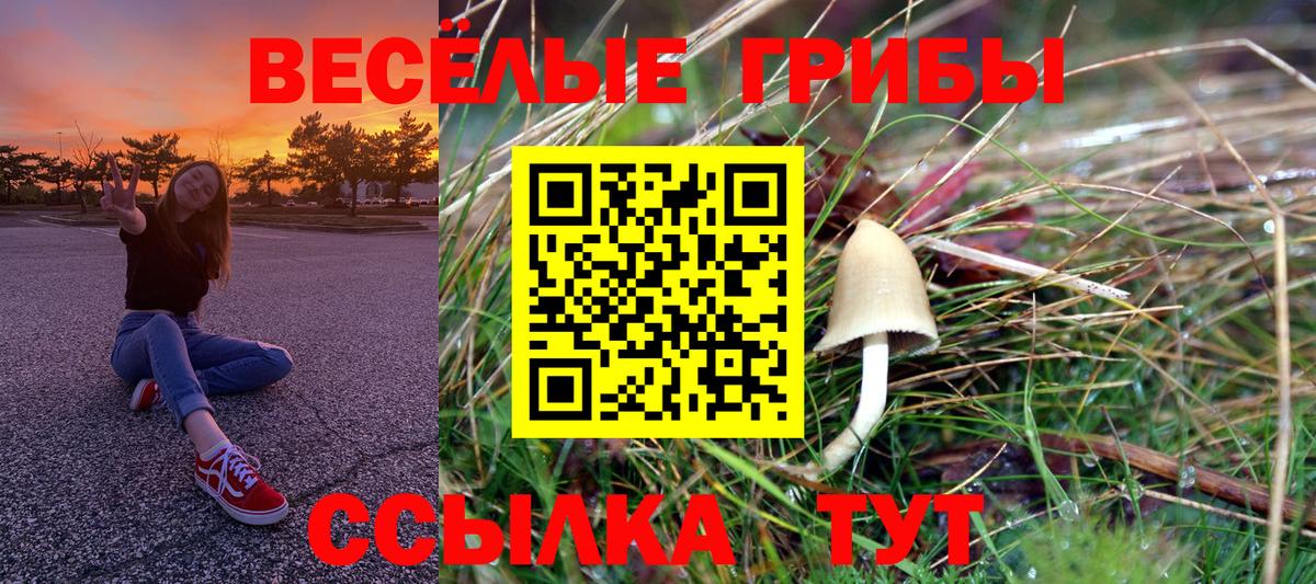 Псилоцибиновые грибы MAGIC MUSHROOMS  Вход с VPN  Галлюциногенные грибы MAGIC MUSHROOMS  Изобильный 